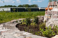 FotovanDana-Aventuur Buiten-5.jpg
